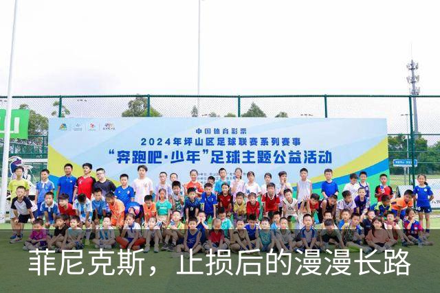 菲尼克斯，止损后的漫漫长路